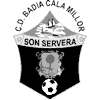 logo Serverense