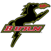 logo Dallas Burn