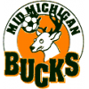 logo Flint City Bucks