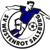logo SV Wüstenrot