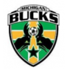 logo Flint City Bucks