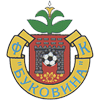 logo Bukovyna Chernivtsi