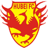 logo Hubei OIT