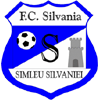 logo Silvania Simleu Silvaniei