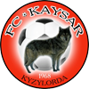 logo Kaysar