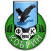 logo Kobrin