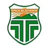 logo Büyükçekmece Tepecikspor