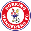 logo Dorking Wanderers