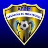 logo Arcadins FC