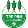 logo Tre Pini Matese