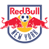 logo New York Red Bulls