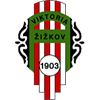 logo Viktoria Zizkov