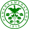 logo HamKam