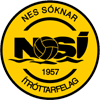 logo NSI Runavik
