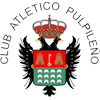 logo Pulpileño