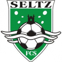 logo St Etienne Seltz