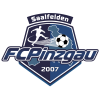 logo Pinzgau Saalfelden