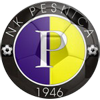 logo Partizan Pesnica