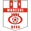logo Muresul Deva
