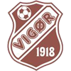 logo Vigör