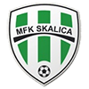 logo Skalica