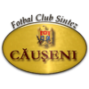 logo Sinteza Causeni