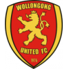 logo Wollongong Macedonia