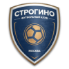 logo Strogino