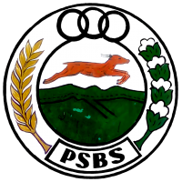 logo PSBS Bangkinang