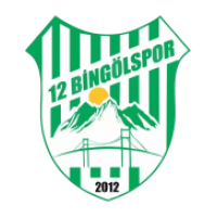 logo 12 Bingölspor