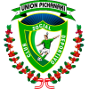 logo Unión Pichanaki