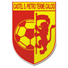 logo Castel San Pietro Terme