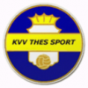 logo Thes Sport