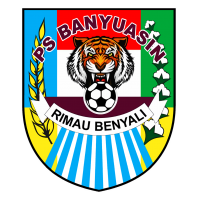 logo PS Banyuasin