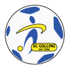 logo Golling