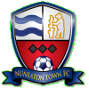 logo Nuneaton Borough