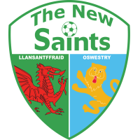 logo The New Saints