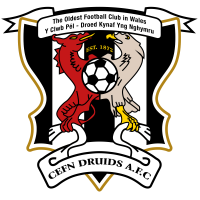 logo NEWI Cefn Druids