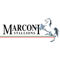 logo Marconi Stallions