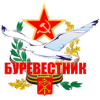 logo Burevestnik SPb.