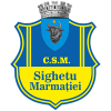 logo Sighetu Marmatiei