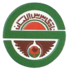 logo Sirs Allayyan
