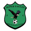 logo Super Eagles