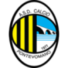 logo Pontevomano