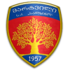 logo Salkhino Martvili FC