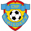 logo CNP Timisoara