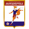 logo Mordovochka Saransk