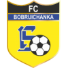 logo Bobruychanka Bobruysk