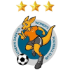 logo Icheon Daekyo WFC