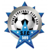 logo Stars509